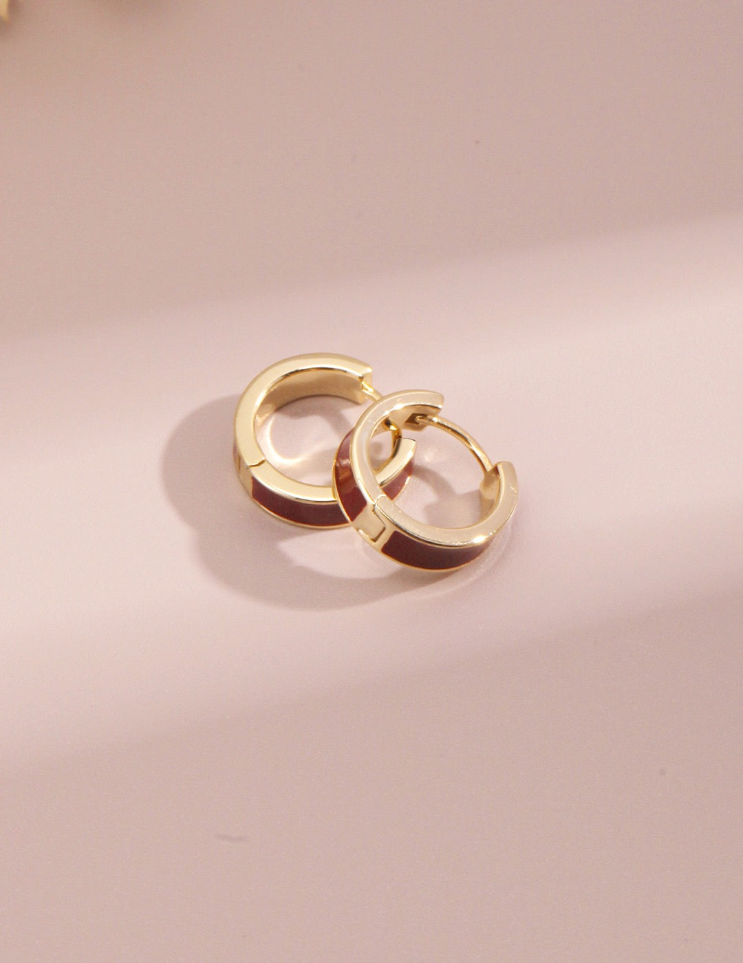 Ring Hoops Earring